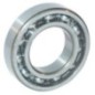Rillenkugellager - 6319