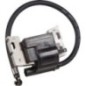 Anker-Magnetzünder - 84012885 Anker-Magnetzünder - 84012885