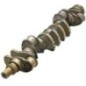 Crankshaft - 99438979FPT Crankshaft - 99438979FPT