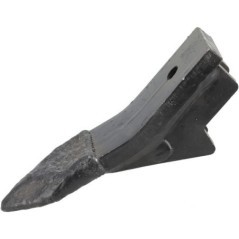 Dziób zęba - 990309