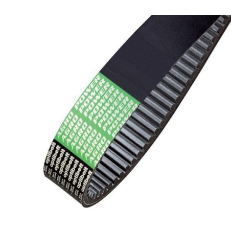 Variable speed belt - AP1001481