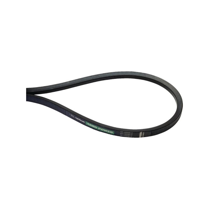 V-belt - AP1000813