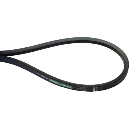 Belts for OE – produkty dostępne w rolniczeczesci.pl