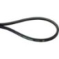 V-belt - AP1000813