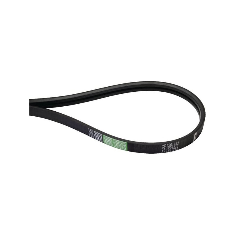 Power belt - AP1001624 Power belt - AP1001624