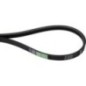Power belt - AP1001624 Power belt - AP1001624
