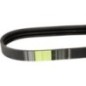 Power belt - AP1001867 Power belt - AP1001867