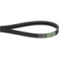 Power belt - AP1005223 Power belt - AP1005223