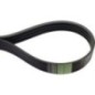 Power belt - AP1002726 Power belt - AP1002726