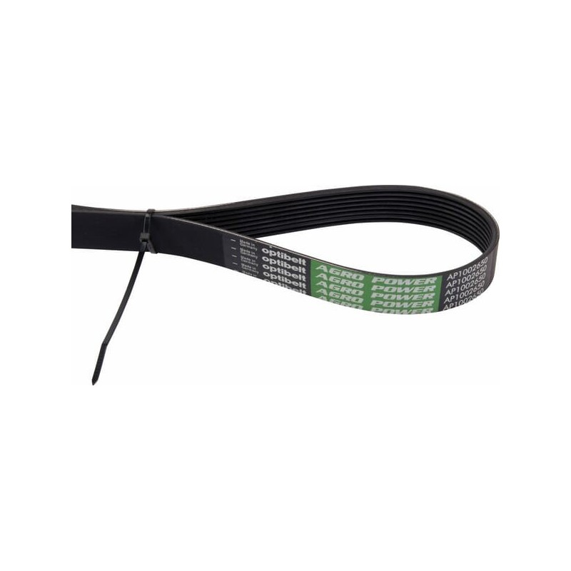 Ribbed belt - AP1002651 Ribbed belt - AP1002651