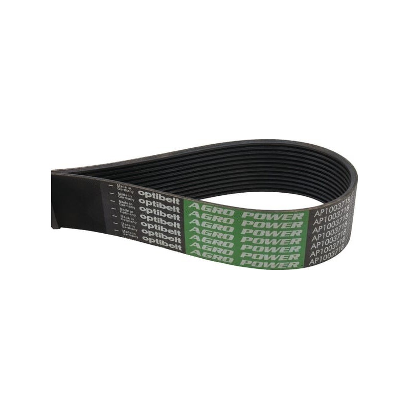 Ribbed belt - AP1003718 Ribbed belt - AP1003718