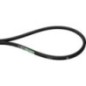 V-belt - AP1001373 V-belt - AP1001373