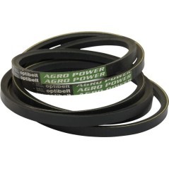AP1002916 Optibelt, Riemen für OE 