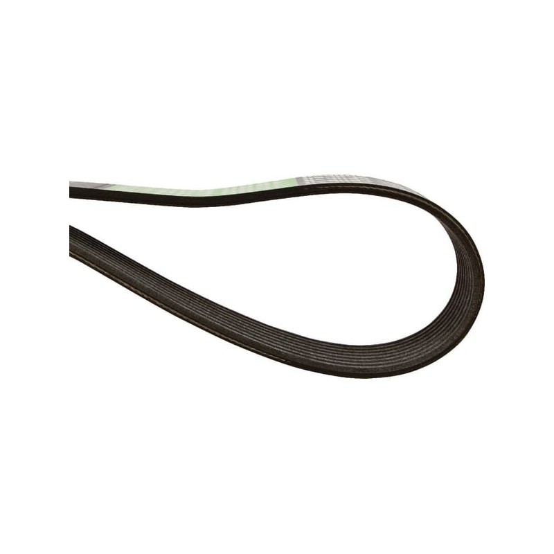 Ribbed belt - AP1003114 Ribbed belt - AP1003114