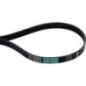 Ribbed belt - AP1003156 Ribbed belt - AP1003156