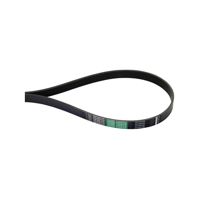 Ribbed belt - AP1003792 Ribbed belt - AP1003792