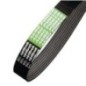 Ribbed belt - AP1004934 Ribbed belt - AP1004934