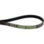Ribbed belt - AP1005542