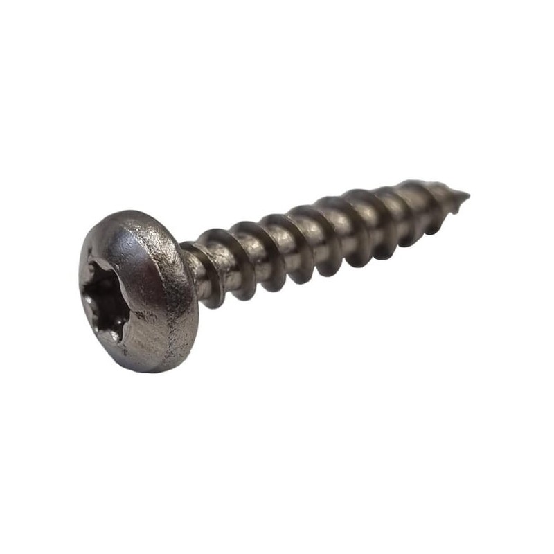 Torx screw 5X25-A2 - C02547 Torx screw 5X25-A2 - C02547