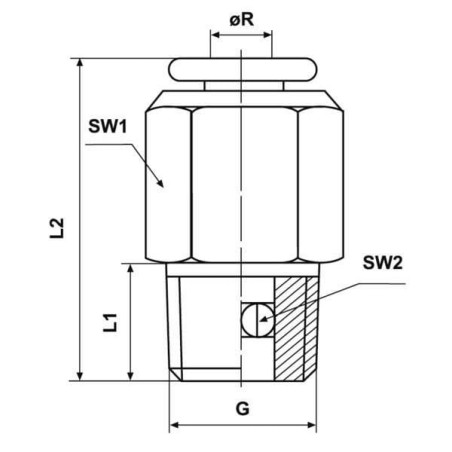 Straight connector push-in - CLSG66