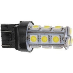 Light bulbs – produkty dostępne w rolniczeczesci.pl