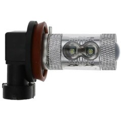 Light bulbs – produkty dostępne w rolniczeczesci.pl