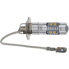Light bulbs – produkty dostępne w rolniczeczesci.pl