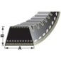 Pas - VPE6406