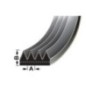 Pas - VPE6376 Pas - VPE6376