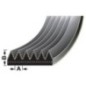 Riemen - VPE6415 Riemen - VPE6415