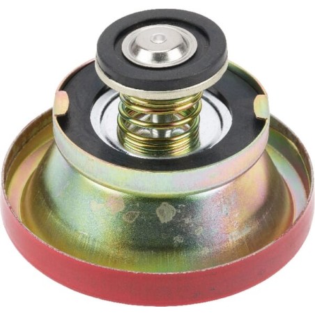 Radiator cap - 1874445M94KR