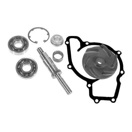 Water Pumps – produkty dostępne w rolniczeczesci.pl