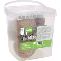 Hity z TikToka – produkty dostępne w rolniczeczesci.pl