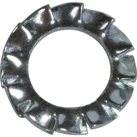 Scheibe - 100332002