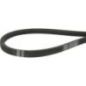 PTO belt - 1065631