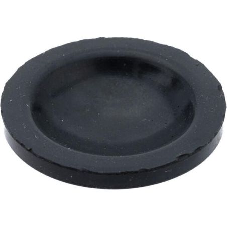 Reserve tank gasket - 110091145