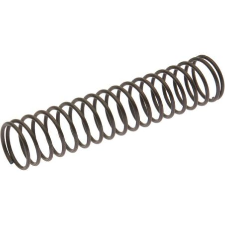 Spring-oil filter - 1134596401