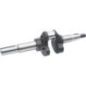 Crankshaft assembly - 14014348S Crankshaft assembly - 14014348S