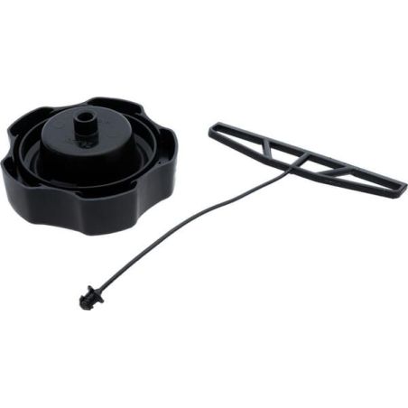 Fuel cap assembly kit, Evap - 1422714S