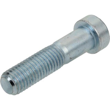 Zylinderkopfschraube M14x60 - 30000770