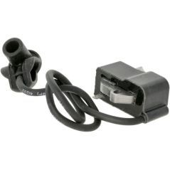 Ignition module - 41344001306