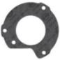 Flat gasket engine - 4851922FPT Flat gasket engine - 4851922FPT