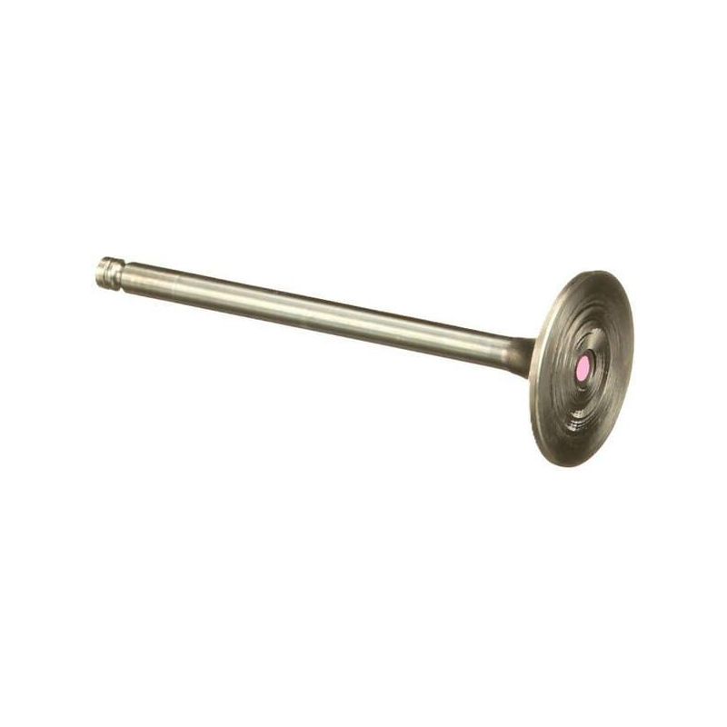 Einlassventil STD - 4895187FPT