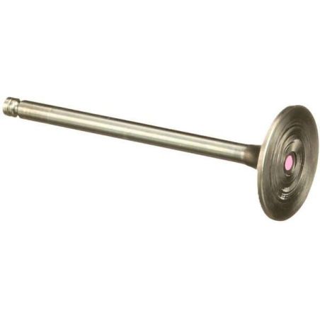 Einlassventil STD - 4895187FPT