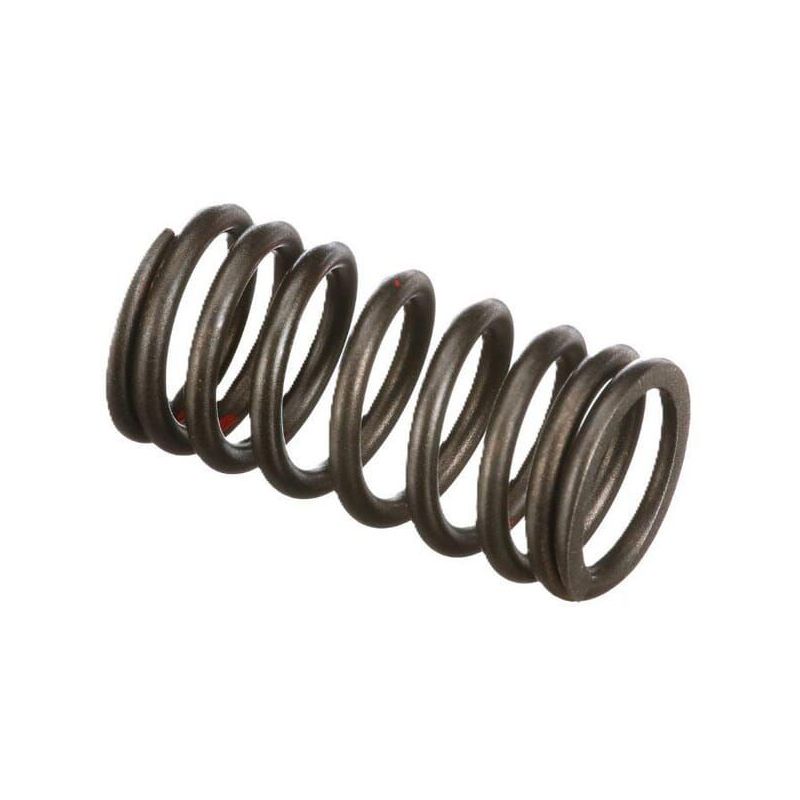 Engine valve spring - 4895215FPT Engine valve spring - 4895215FPT