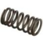 Engine valve spring - 4895215FPT Engine valve spring - 4895215FPT