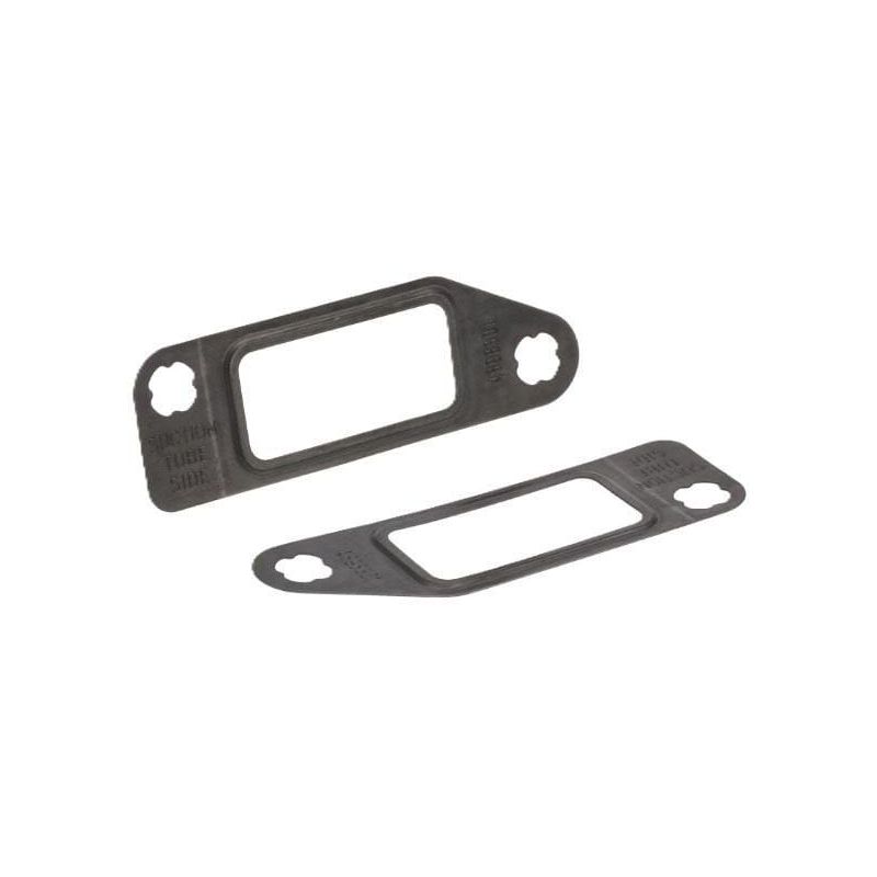 Flat gasket engine - 4898301FPT Flat gasket engine - 4898301FPT