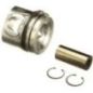 Piston assy standard - 500055920FPT