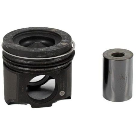 Kolbenbaugruppe Standard - 500086080FPT