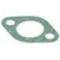 Dichtung Wasserverteiler - 500308780FPT
